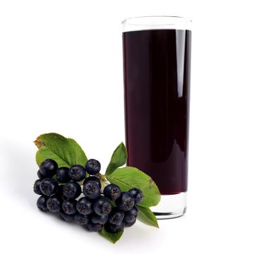 Molnár-Porta Bio Natúr Berkenye Velő | 100% Frissen Préselt Gyümölcslé